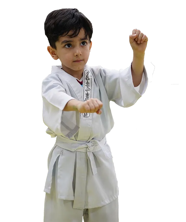 عکس پسر ووشو کار در آکادمی آساره