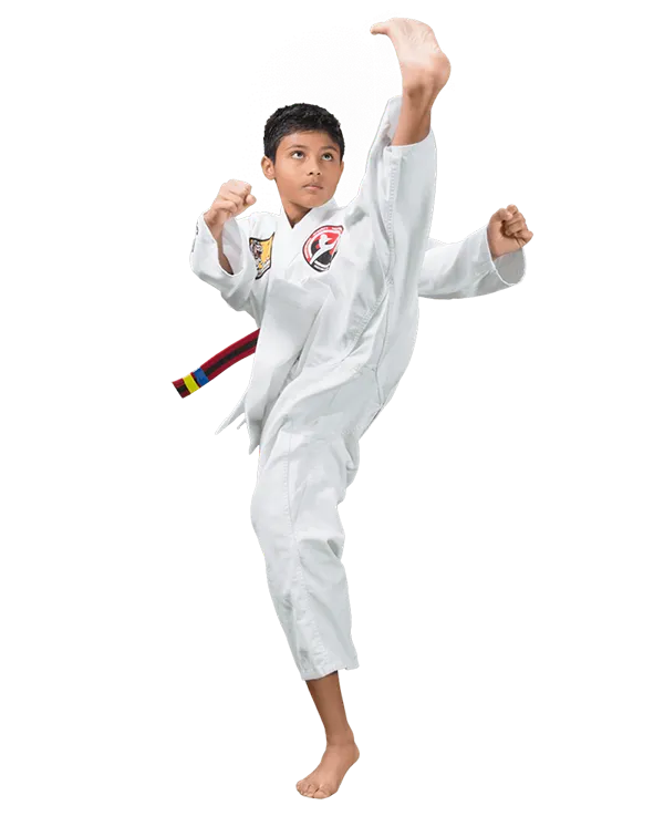 عکس پسر کاراته کار آکادمی آساره