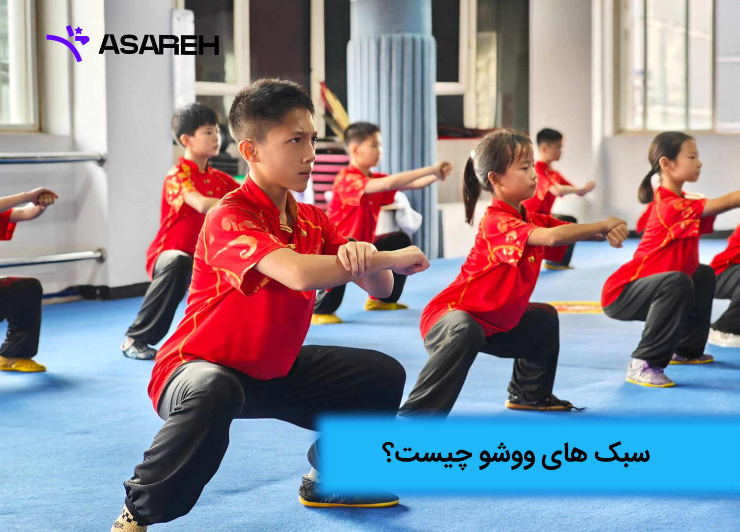 سبک های ووشو چیست